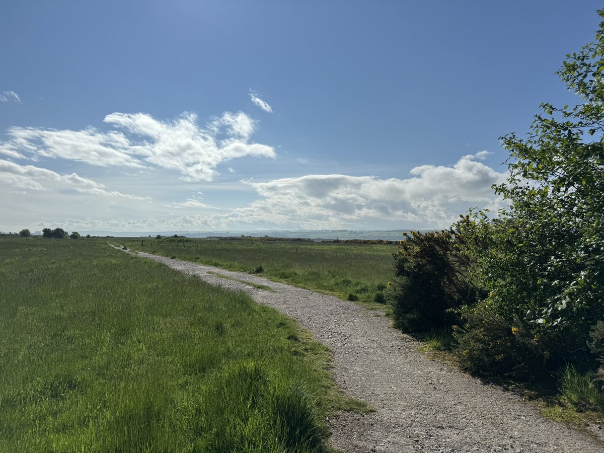 Shelly Munro 💙🏴󠁧󠁢󠁳󠁣󠁴󠁿 tweet media