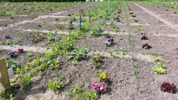 Natuur onder de loep -  streekbladzoetermeer.nl/l/153350
