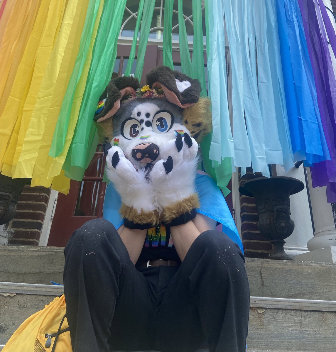 Fruity_phorgs's tweet image. Hi! Welcome to my Twitter!

My name is Tobias! I’ve been in the fandom for 8 years! My main boy is caramel my Aussie sona!! 

I am a digital artist, fursuit maker, plush maker, nature+ fursuit photographer, designer and more!! I try to make my account as furry as possible!