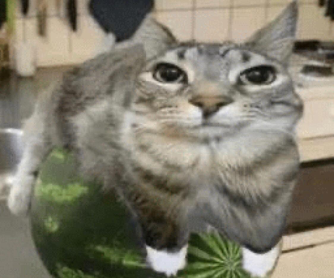 Nob 👍 tweet media