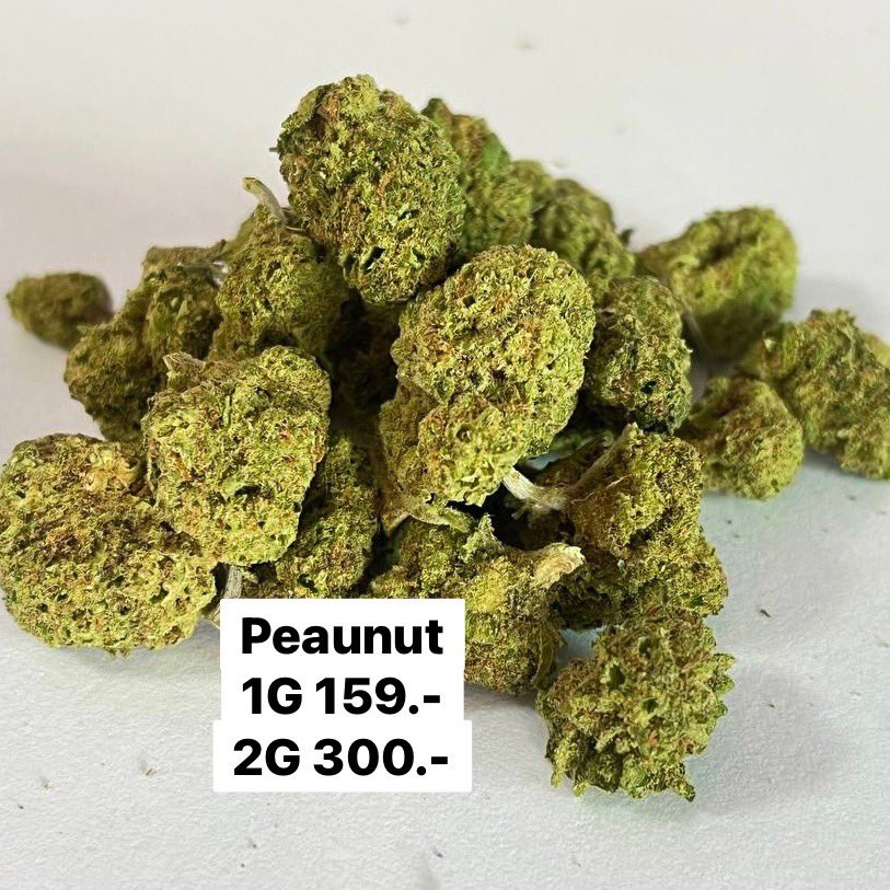 ubonweed's tweet photo. The season🪴
1 G = 159฿
2 G = 300฿
ยิ่งซื้อเยอะยิ่งถูก!!!
Wed:https://t.co/J5ZiBabHJu
LINE:https://t.co/tHt0680WGD
📌https://t.co/8FUNn4Y7Vn
#PURIKUSH #กัญชาอุบล #อุบล #คาเฟ่อุบล #CBD #สายเขียว #ร้านขายกัญชาใกล้ฉัน #ร้านกัญชาใกล้ฉัน #ร้านogใกล้ฉัน #กัญชาออแกนิค https://t.co/avgkeCCIN8