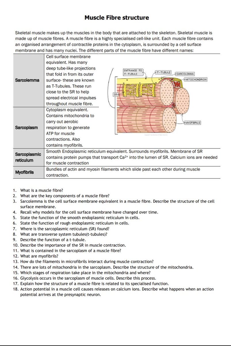 Nicolelogier22's tweet photo. I've finally got around to making the A Level Edexcel topic 7 SLOP booklet and Topic 6 is in progress for this half term. I've also updated a lot of the booklets so fellow #SNAB teachers please download from the link in my bio! @chatbiology @cogscisci https://t.co/CwNHw8AWYm