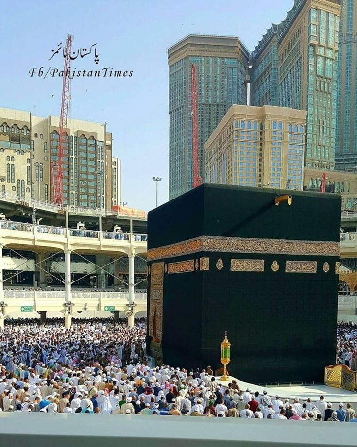 Mouhamed17aout's tweet photo. Allahouma çalli alâ sayedinâ Muhammadine, al fâtihi limâ
oukhlikha ; wal khâtimi, limâ sabakha, nâssiril hakhi ; bil
hakhi, wal hâdi illâ sirâtikal moustakhîme ; wa alâ âlihî,
hakha khadriî wa mikhedâri il azîme https://t.co/GKrACqjQGE