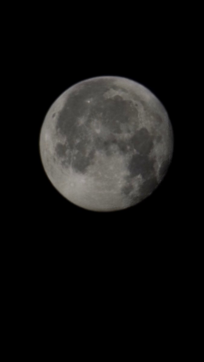 ياسر الشبانة tweet media