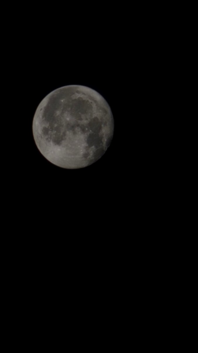 ياسر الشبانة tweet media