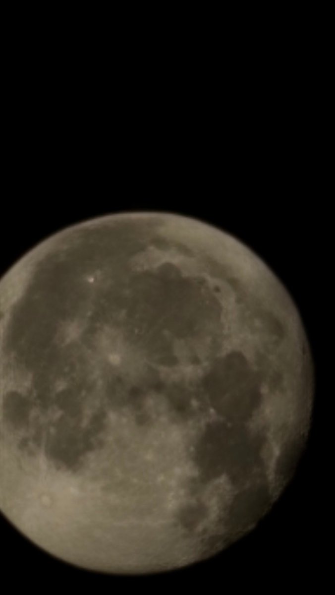 ياسر الشبانة tweet media