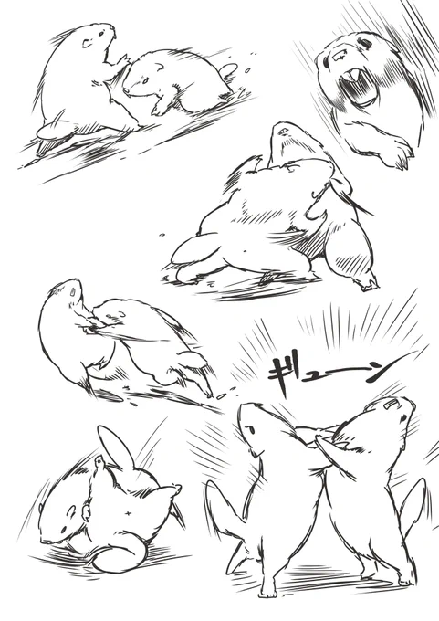 戦闘絵練習(マーモット) 