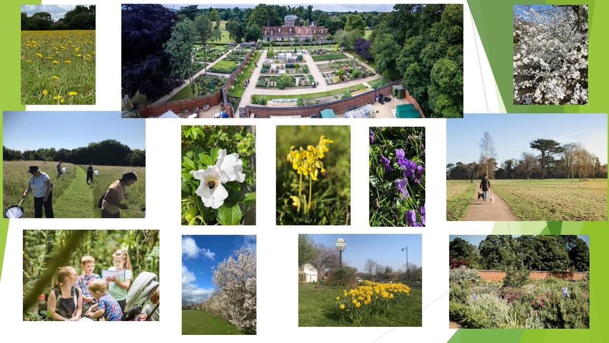 HRinBloom's tweet photo. 🥇🥈🥉You've got to be in it to win it🥉🥈🥇
Our entries into @AngliaInBloom are in!
#HoughtonRegis has been entered for the Large Town & #HoughtonHallPark has been entered for the Historic Parks & Gardens
#OurBloom #HRinBloom #Community #BritainInBloom #BloomingBedfordshire https://t.co/g8cBDU9AgR