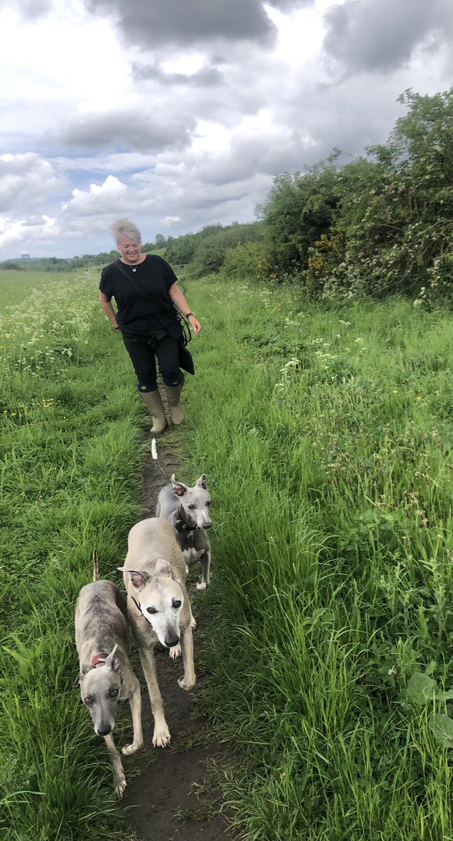 Dr Cherry Picker tweet media