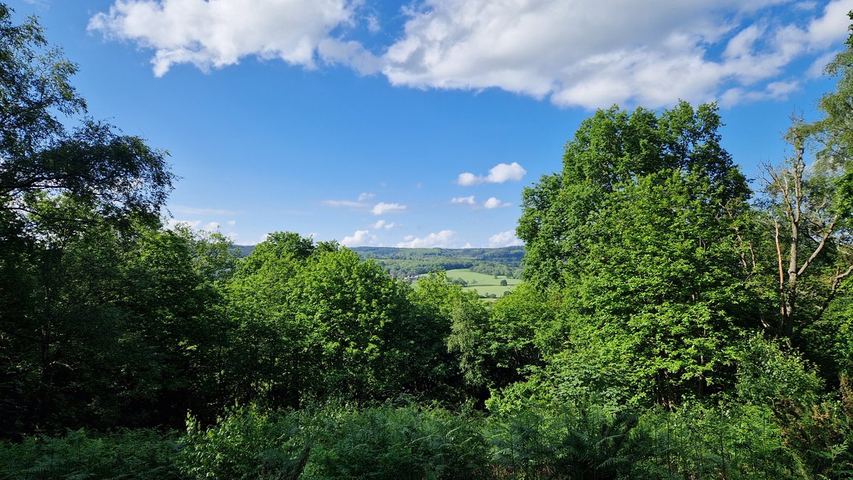 davidjswinson's tweet photo. Views from the #Nower to #LeithHill and #BoxHill. #SurreyHills looking magnificent on my morning run today! https://t.co/JHkaOO5DQG