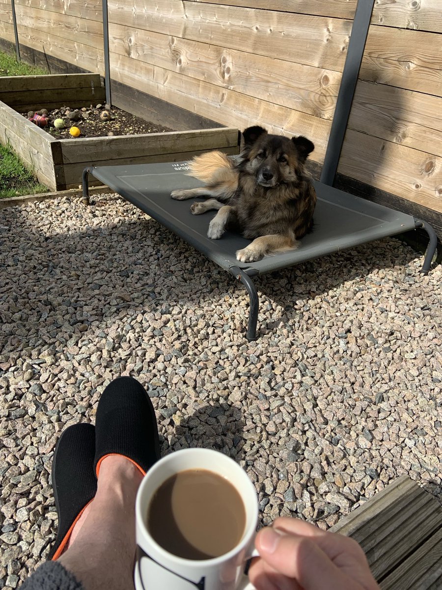 MORNING! A wee alfresco coffee in the sun!👌☕️🌞🐾🕶️

HUV A BELTER OF A WEEKEND!😎