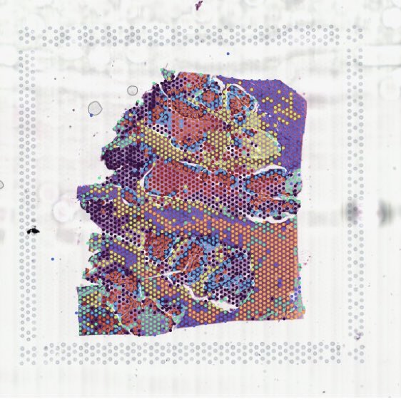 Simona De Summa tweet media