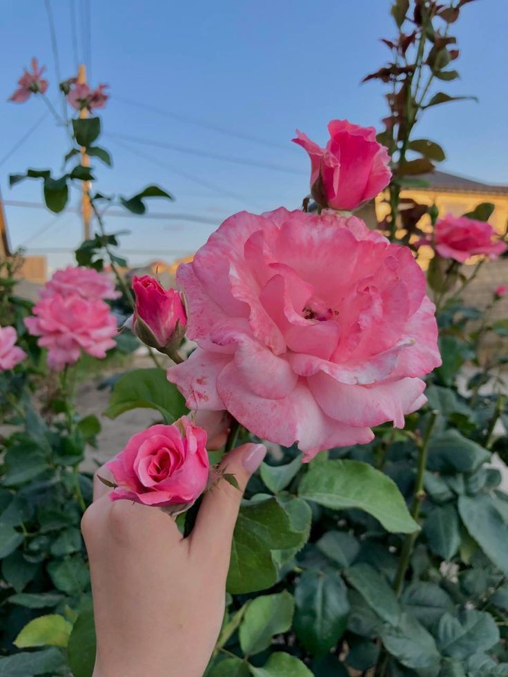 Good afternoon 🌞