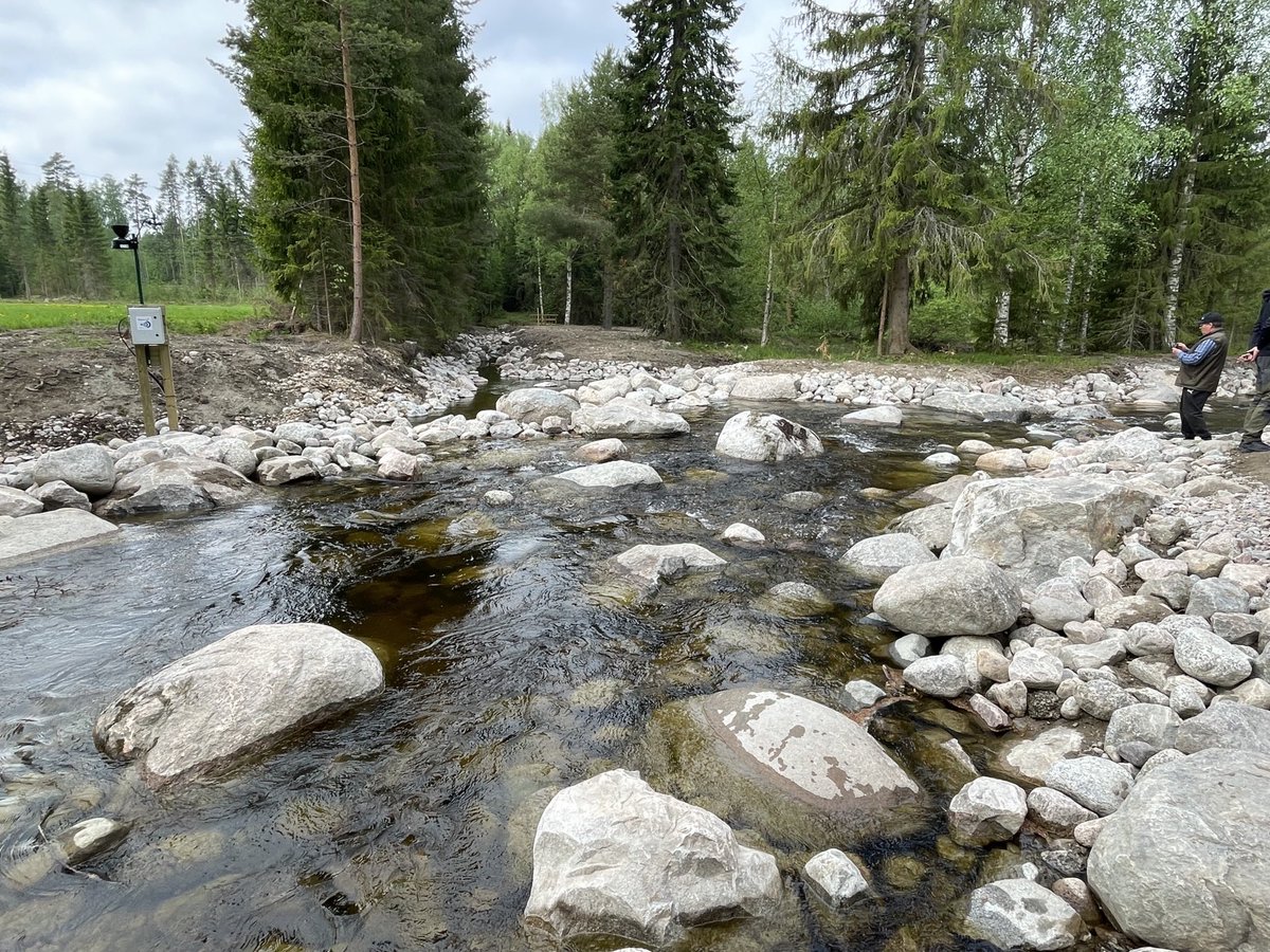 Näissä #luonto hankkeissa tarvitaan aina joku vahvan vision omaava ja sitkeä toimija, joka haluaa parantaa monimuotoisuutta. Iso myönteinen kädenjälkiesimerkki meille muille. Hatun nosto Gösta Serlachius Capeenpurosta👍. Sen lisäksi tarvitaan vahvaa yhteistyötä osaajien kesken.