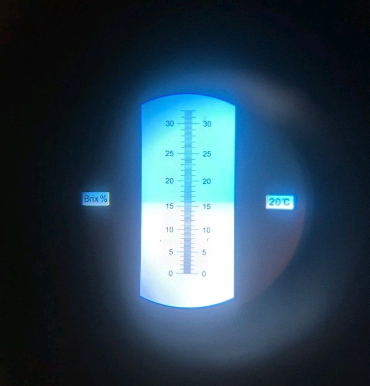 Agronomist Saidi tweet media