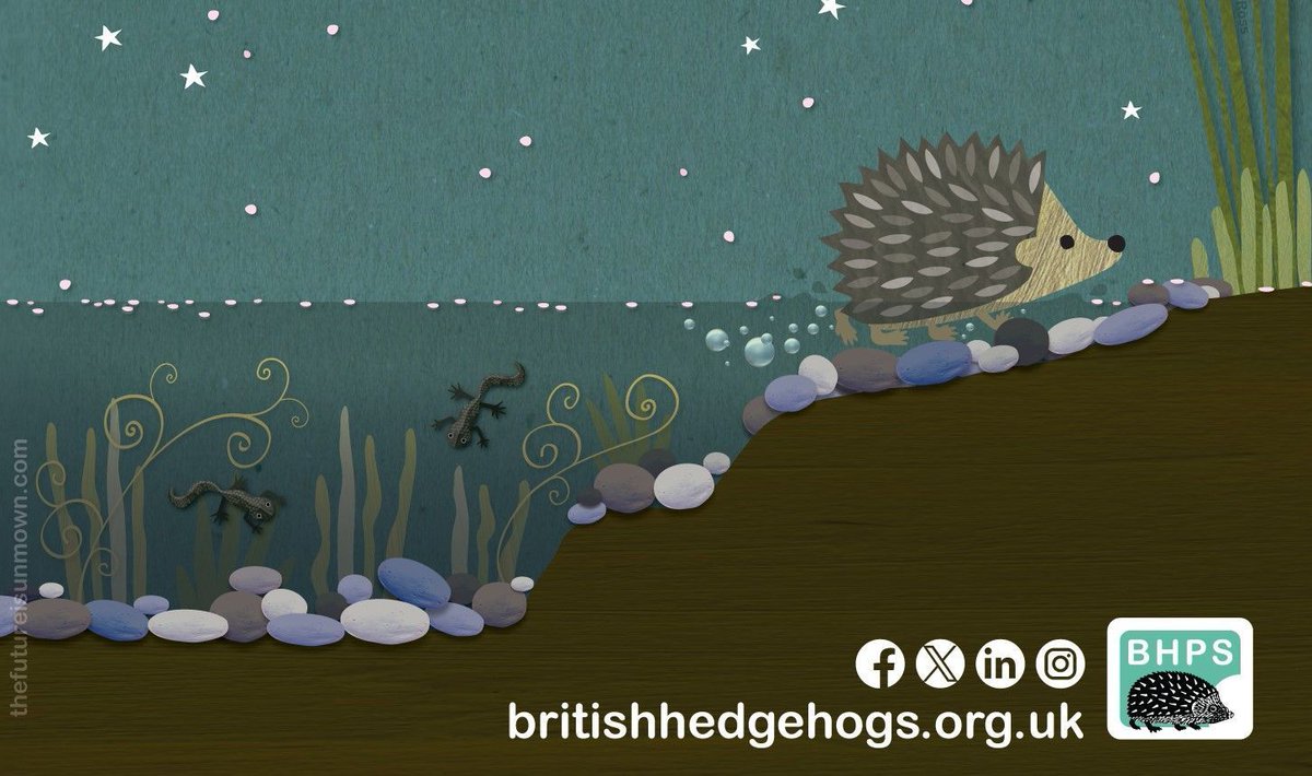 It's #ChildrensGardeningWeek - and there's loads of ways to get the little ones interested in #gardening & #wildlife! 🐛 🪴 🦔 Why not make a mini wildlife pond - complete with a wildlife ramp so creatures like #hedgehogs can easily escape after a dip? buff.ly/3yhIjWC