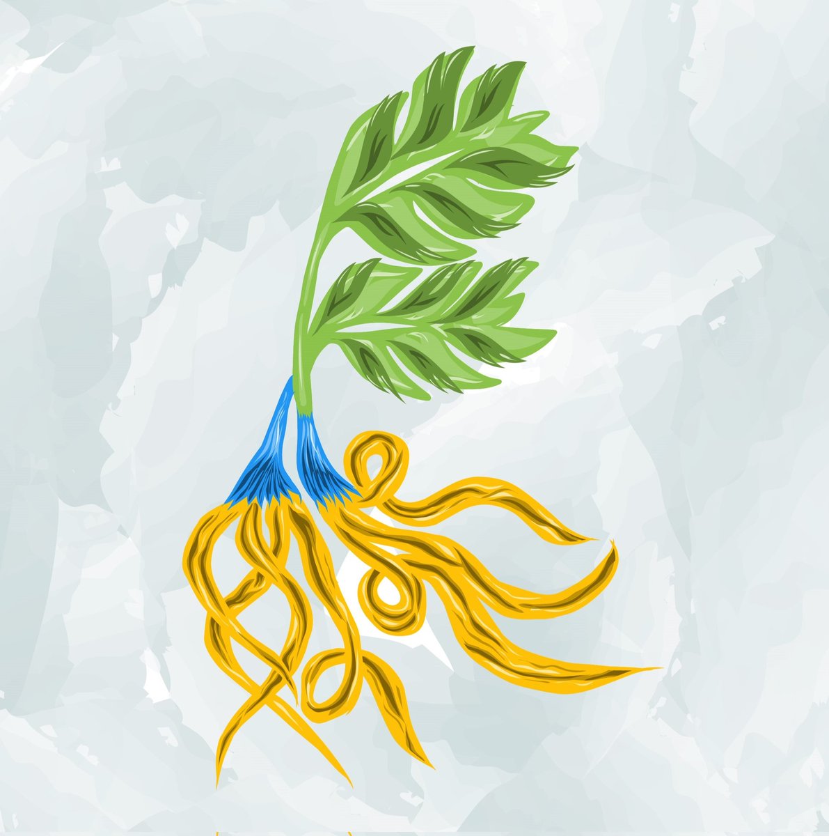 From bottom to top 
#collections #digitalselling #digitaldesign