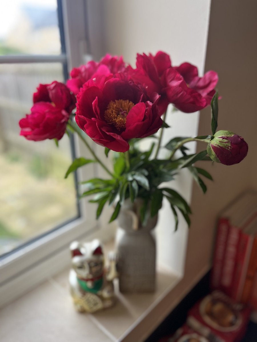 Don’t you just LOVE peonies?!! ❤️❤️❤️