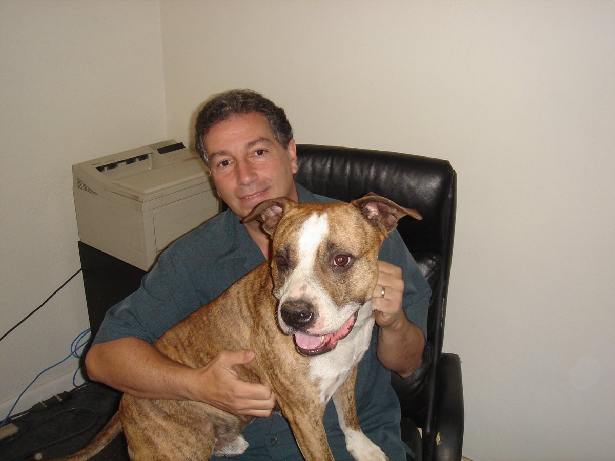 RWSstudios's tweet photo. May 25th, 1999. A good boy was born.

Happy birthday Champ, we miss you. https://t.co/fB02qtD0x0