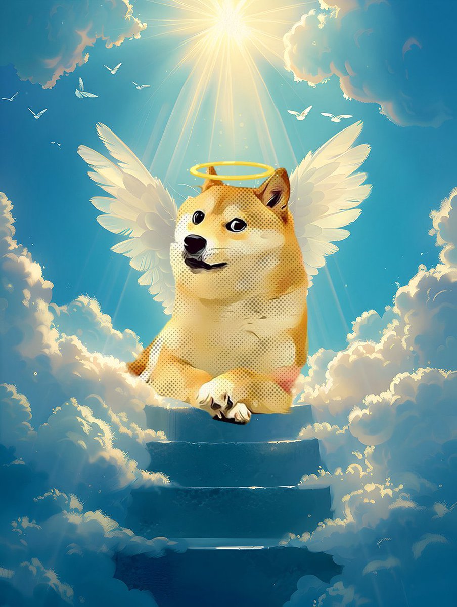 MyDoge's tweet photo. Doge 🤍 https://t.co/xI4jgV7R7Q