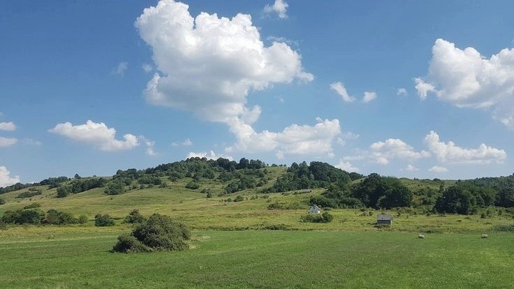 moodyonmoon's tweet image. 