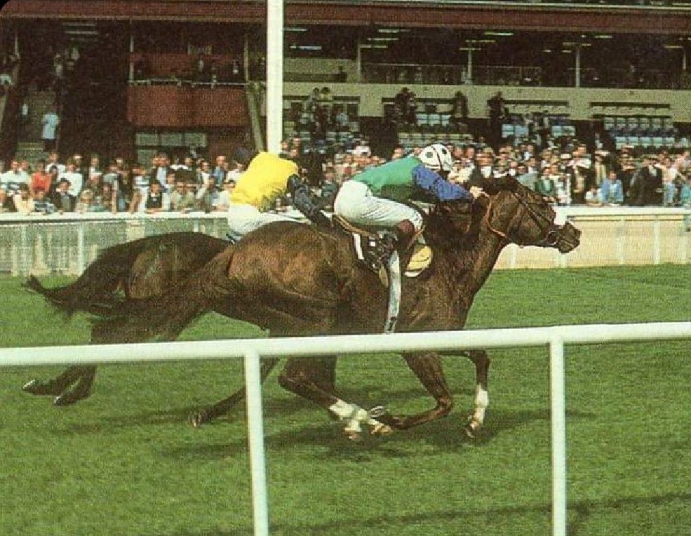 Purchased as a yearling for $650,000, Prince Of Birds (Declan Gillespie up) defeated his better fancied stable-mate Caerwent to win the 1988 Irish 2000 Guineas. The success gave trainer Vincent O'Brien the last of his five wins in the classic.