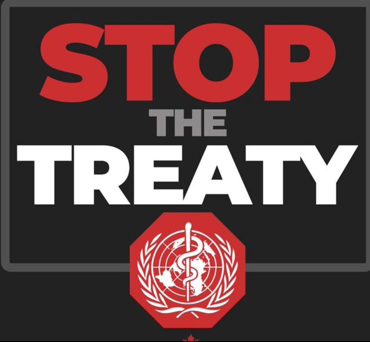 🔥WHO - The Pandemic Treaty & IHR amendment negotiations continue. So far members have failed to reach agreement

We have a last chance to be heard. And the best way to do that is to flood X with your voice!

Make it loud! Retweet …

STOP. THE. TREATY! #stopthetreaty