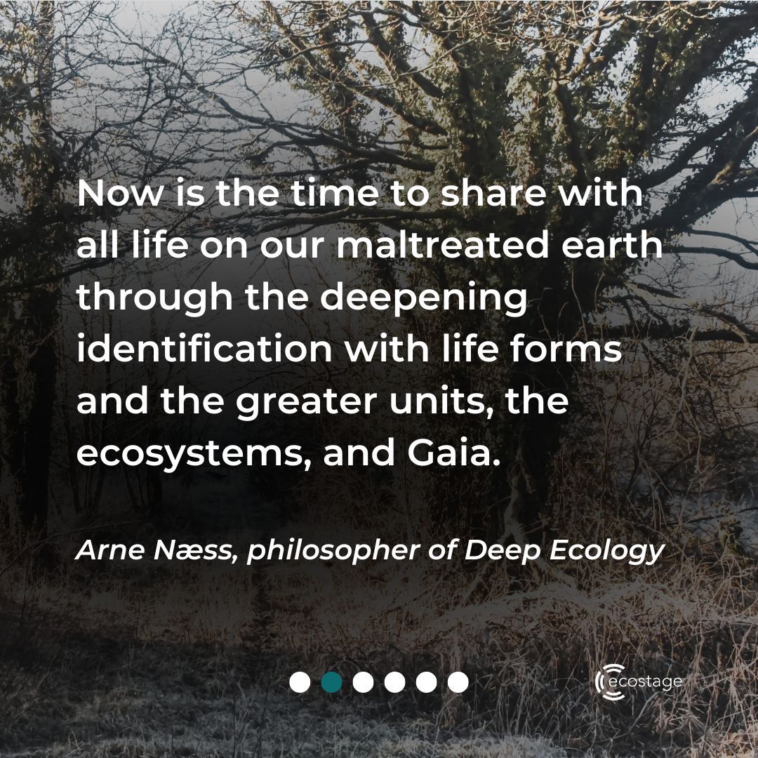 "Now is the time to share with all life on our maltreated earth through the deepening identification with life forms and the greater units, the ecosystems, and Gaia."

Arne Næss, philosopher of Deep Ecology