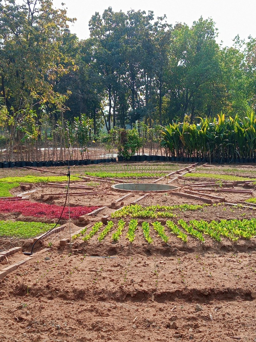 My passion for agro-tourism stems from childhood in Punjab. As a landscape architect, I see the true value in agriculture. Agro-tourism blends landscape architecture with permaculture for sustainable designs. Thoughts on the link between them? #AgroTourism #LandscapeArchitecture