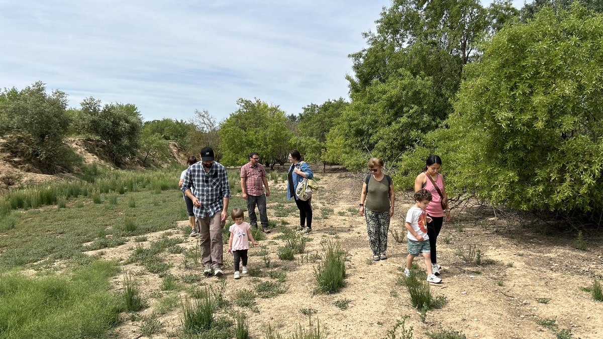 Passejada per conèixer la flora a l’entorn de l’Estany d’Ivars i Vila-sana @estanyIvarsVila #CalSinén @ccplaurgell #ParcNatural