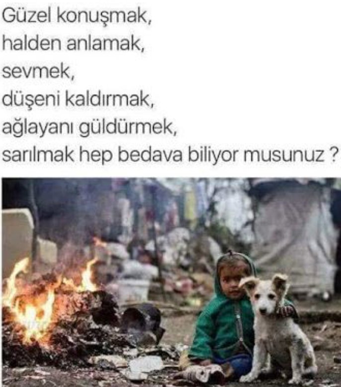 Bilmiyorlar... Bilemezler... #KısırlaştırAşılatYerindeYaşat ‼️ #Sokakhayvanlarisahipsizdeğil #SokakHayvanlarınıÖldüremezsin #SokaktayımYanındayım 🐾🐕🐾🐈‍⬛🐾😻🐾🦮🐾