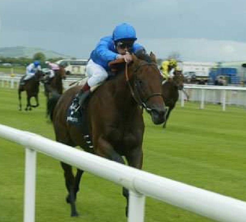 Sent off joint-favourite for the 2005 Irish 2000 Guineas, Dubawi quickened impressively to beat Ballydoyle's Oratorio by 2 lengths. Established as one of the world's leading stallions, Dubawi currently has 57 individual Group one winners to his credit.