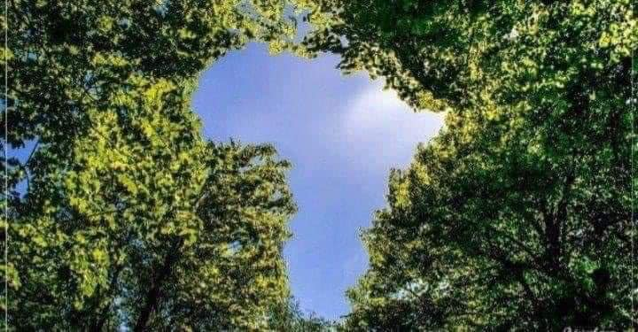 realPeterEyamu's tweet image. HAPPY BIRTHDAY AFRICA.. A united Africa I envision.
#OneAfrica 
#OnePeople 
#OnePresident 
#OneParliament 
#OneMilitary 
#OneCourt 
#OneBank 
#OneCurrency 
#OneBorder 
#OneVisa 
#OneTrade 
#OneVoice 
#OneVision 
#OneGovernment. Yes, this is the #NewAfrica, Africans deserve.