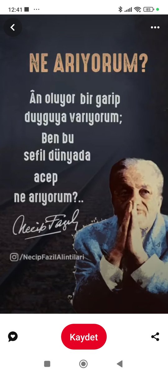 "Allah dostu odur ki, nefsine tek pay biçmez;
Kırk yıl bir ekşi ayran özler de onu içmez."

"Anlamak yok çocuğum, anlar gibi olmak var;
Akıl için son tavır, saçlarını yolmak var.."

Necip FAZIL
