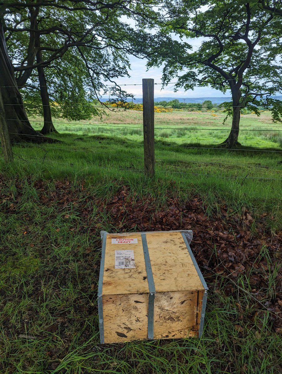 Hey Craig Doyle, your box is up the Bathgate hills 👍 #flytipping @LoveWestLothian