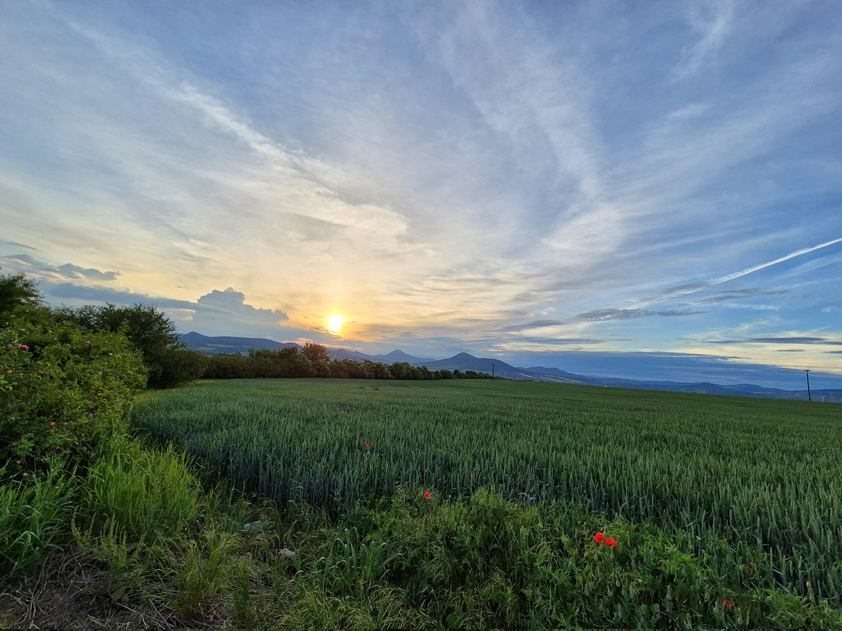 Někde u Lovosic...
.
.
.
#czechia #cloud #sky #plant #naturallandscape #afterglow #grass #dusk #grassland #cumulus #agriculture #plain #landscape #horizon #meadow #tree #grassfamily #hill  #sunset #road #field #sun #pasture #forest #evening #plantation