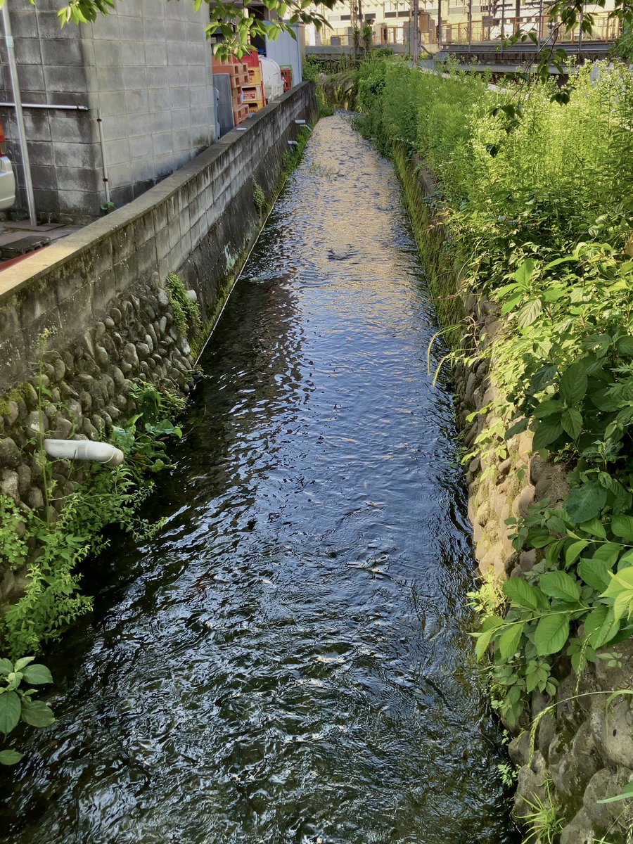 frog_frog's tweet photo. 高幡用水。駅前を流れる開渠。
（日野市） https://t.co/zZ3BKk3Z5Y