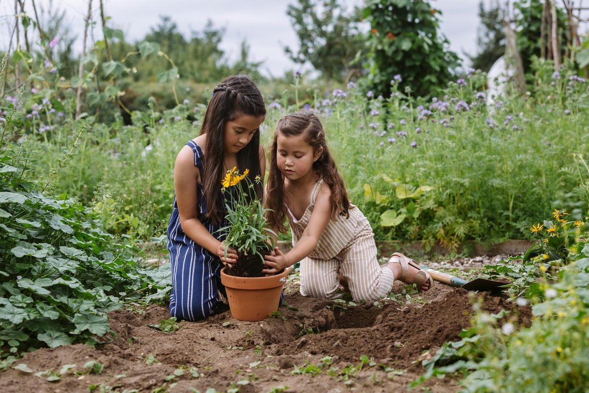 May Half term: Family Gardening Festival starts today!

Looking for something to do with the kids this half term? We've got lots to keep the whole family entertained!

Find out more here: bit.ly/3wOrXEu

#rhsharlowcarr #harlowcarr #MayHalfTerm #FamilyFun #visitharrogate