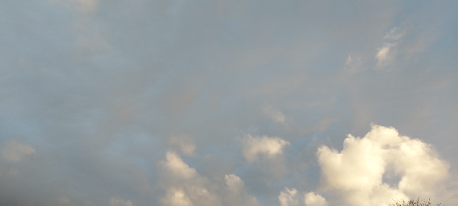 Above us only sky; the clouds look down on Strawberry Field. A place of sanctuary, a place of peace, a place of belonging. Where is your haven of peace, a refuge from anxiety? Explore what it means to belong to the Strawberry Field community & know that you are welcome here…