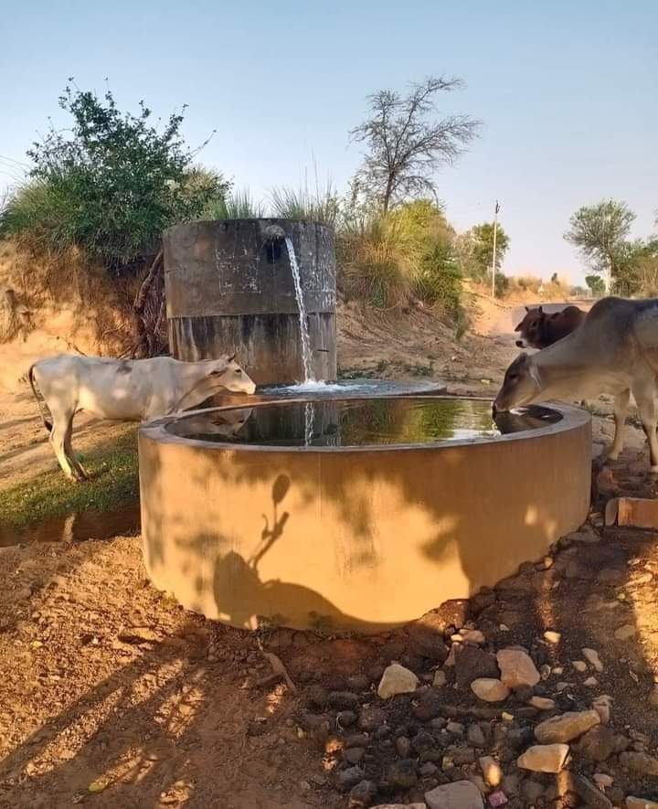 HerkeshiM's tweet photo. इससे बेहतर फ़ोटो नहीं हो सकती है .....
#SaveCowSaveLife https://t.co/HIjldcTOLk