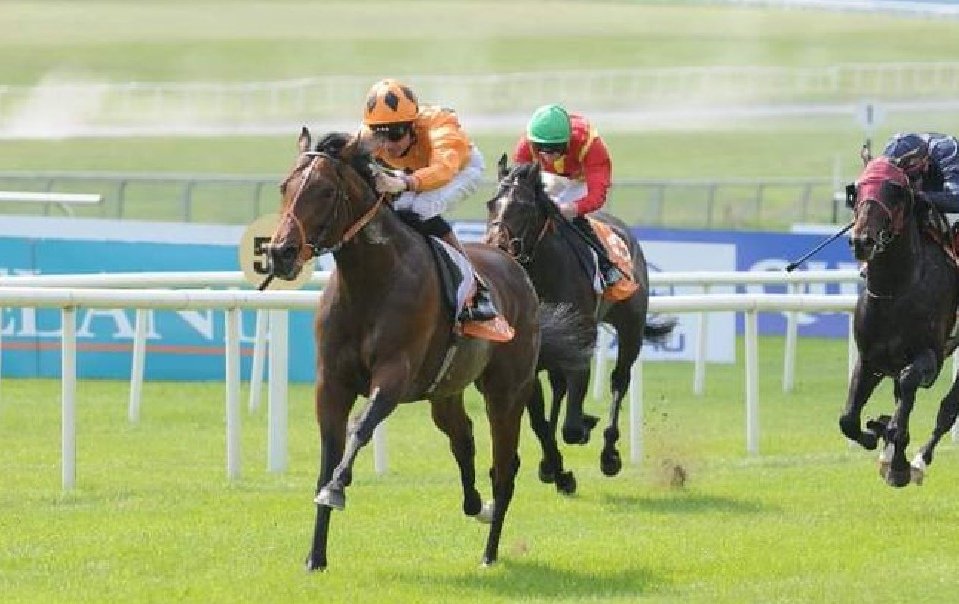 9-4 favourite Canford Cliffs defeated Free Judgement by 3 lengths to land the 2010 Irish 2000 Guineas. Wins in the St James's Palace, Sussex, Lockinge and Queen Anne Stakes followed before a career-ending defeat by Frankel in the 2011 'Duel on the Downs'.
