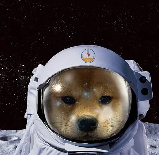 Name a more iconic duo 
I'll wait...

$WIF &amp; $MICHI