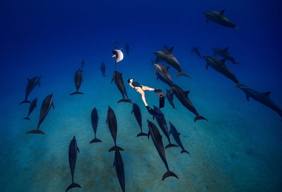 Pure magic.  
⠀
📸 @underwatergraphy 
🧜🏻‍♀️ @zzv___zzv 
⠀
#alchemy #alchemyfins #freediving #alchemyv3 #underwaterphotography #freedive #carbon #carbonfins #bifins #diving #ocean #nature #fitness #explore #freedivingphotos #watersports #discover #adventure #saltlife #apnea