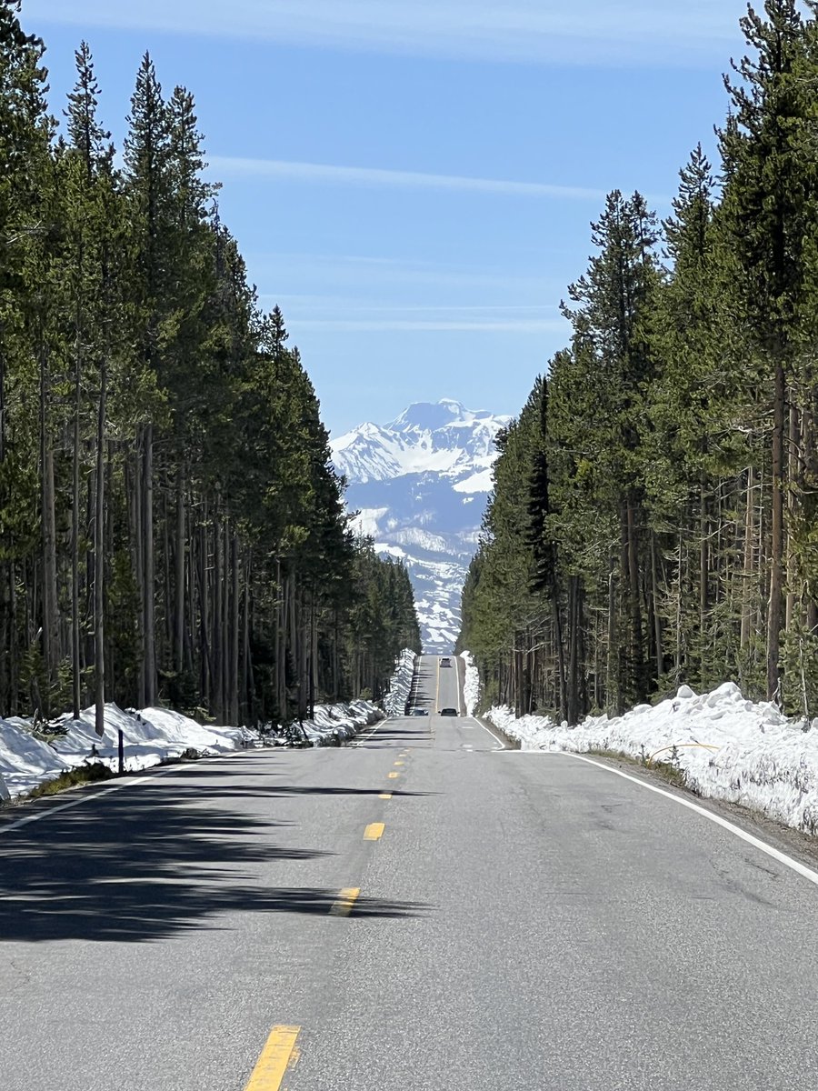 A southern section of Grand Loop Rd of Yellowstone Park where mountains in the distance beckon tourists