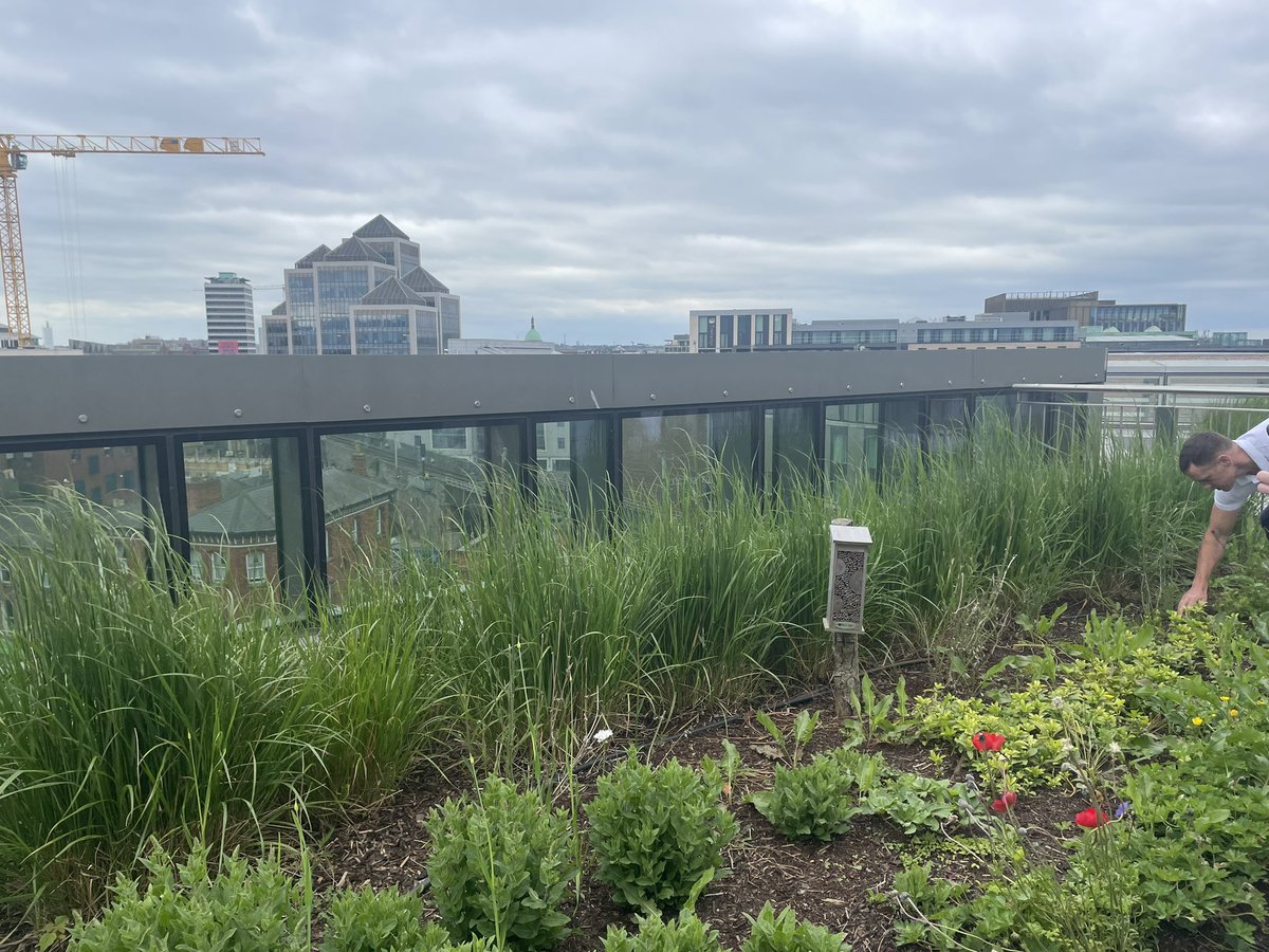 Marion Jammet tweet media