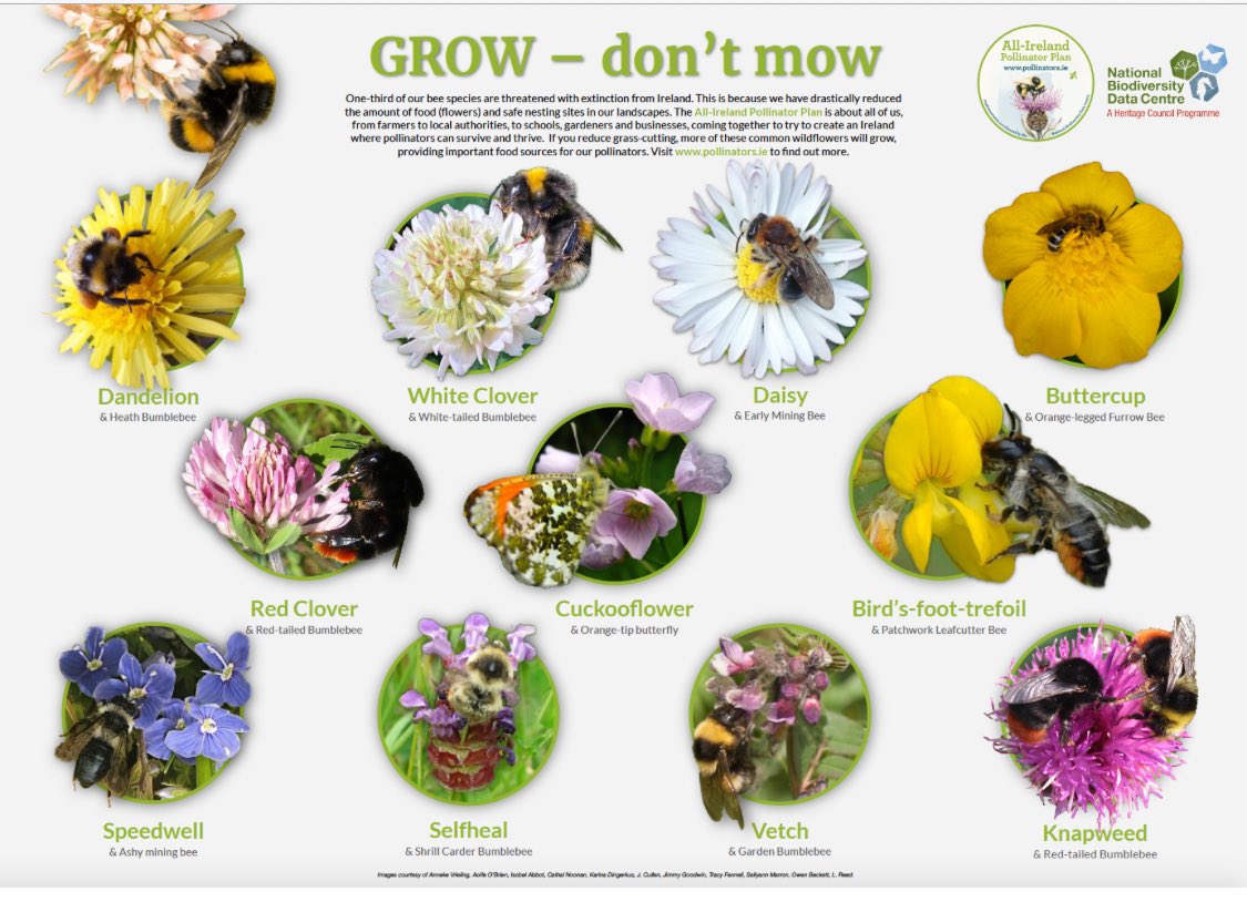 Marion Jammet tweet media