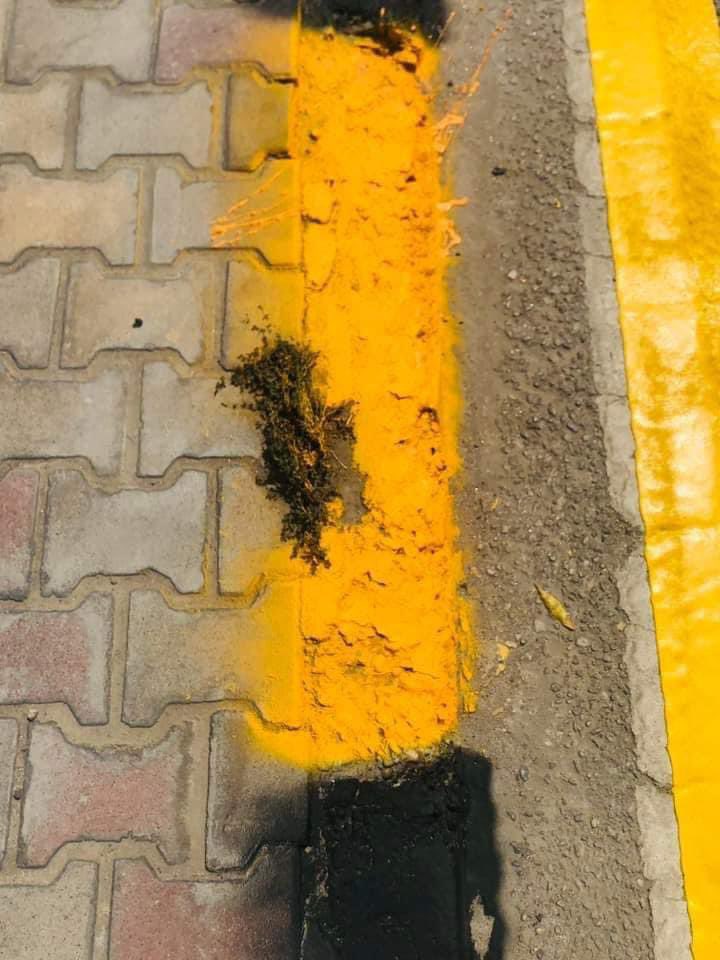 hillastreets's tweet photo. صابغين الأرصفة ببهارات صفرة 🤦🏻‍♂️😏
بلدية النجف !!! https://t.co/9eLq946ri7