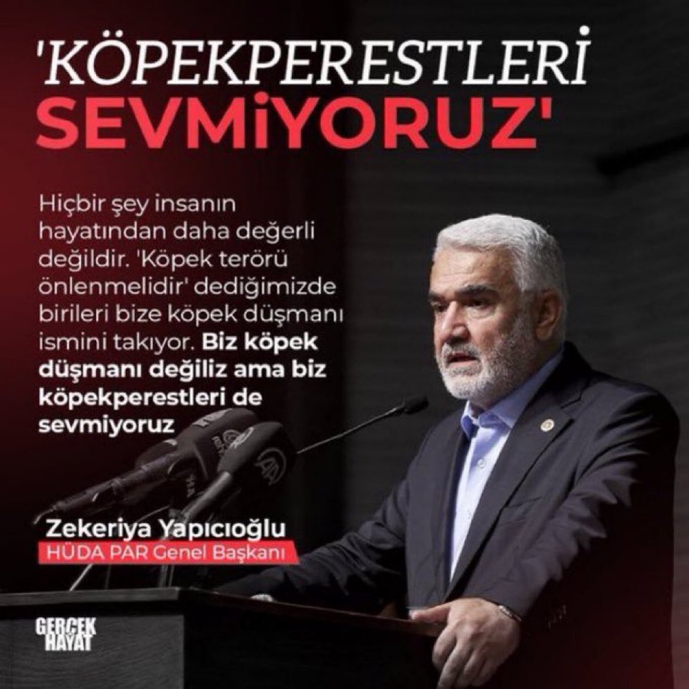 #SokakHayvanlarıYalnızDeğildir