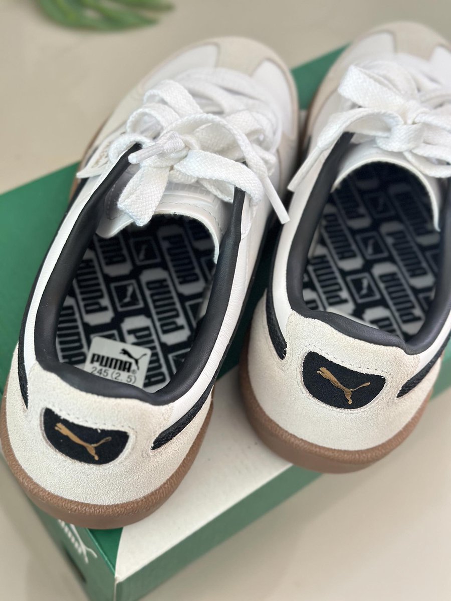 ส่งต่อ PUMA PALERMO 
 size: 38.5 24.5 cm. 
สั่งมาผิดไซส์ค่า  🥹🥹
♪｡૮ཾ♡ ݂. ̫ .݂ 𑁬ྀི＊ 🏃‍♀️
✳︎ คู่ละ 2,900    free shipping! 
พร้อมส่งเลยไม่ต้องรอพรี ❗️❗️

#PUMAPALERMO #PUMA 
#พรีออเดอร์เกาหลี #พรีออเดอร์จีน #puma #กดเว็บจีน #ส่งต่อรองเท้า