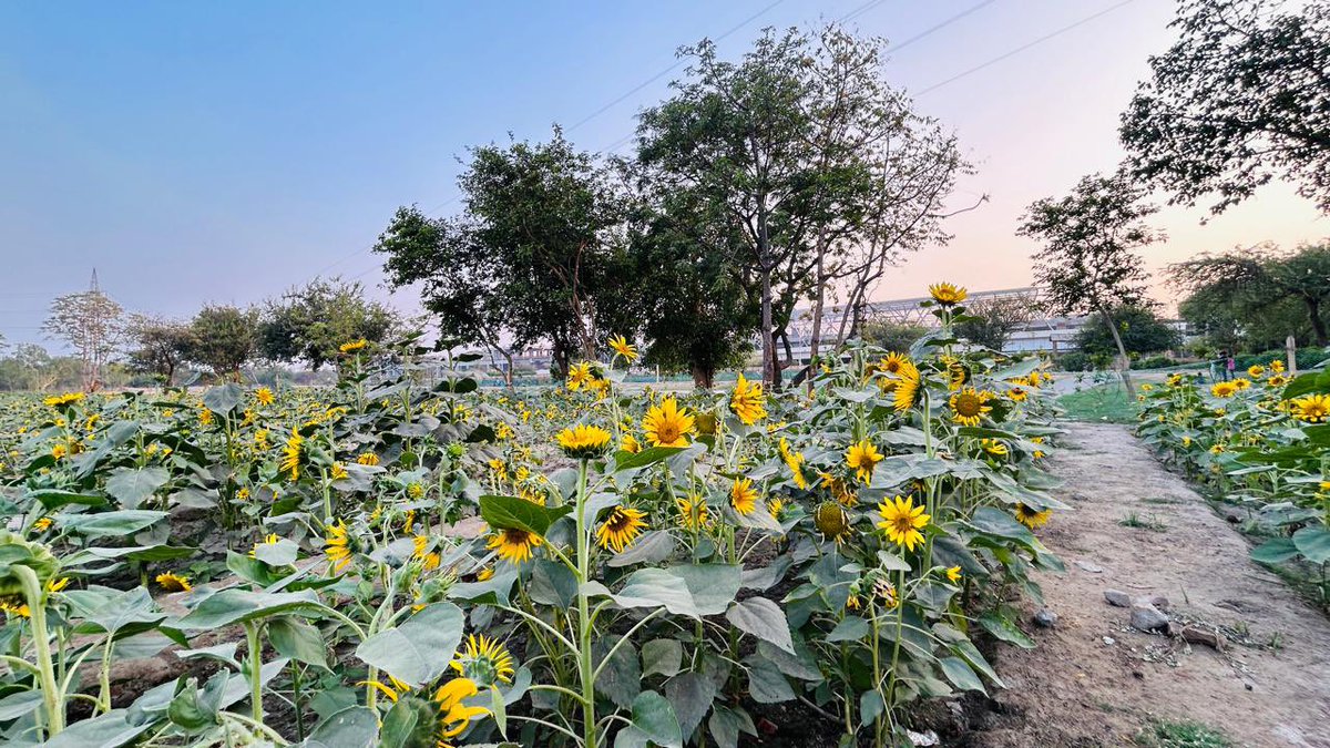 Delhi Development Authority tweet media